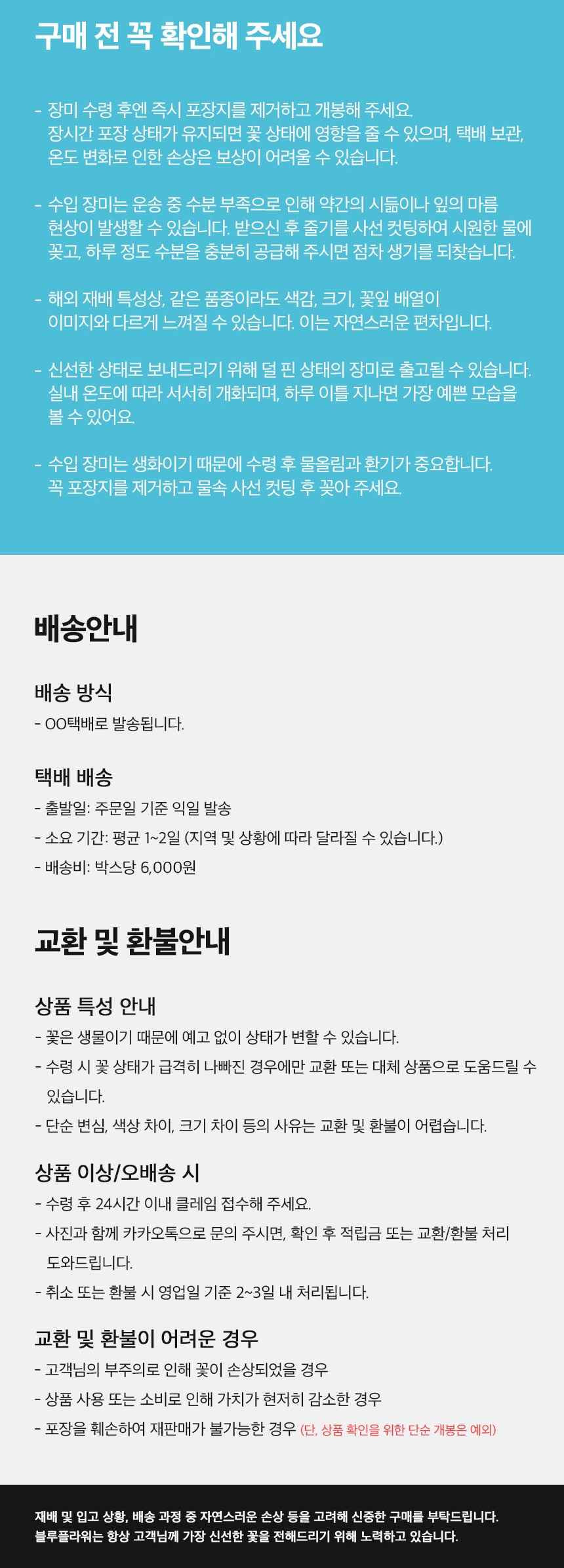 장미_차밍레이스(sp)_특3